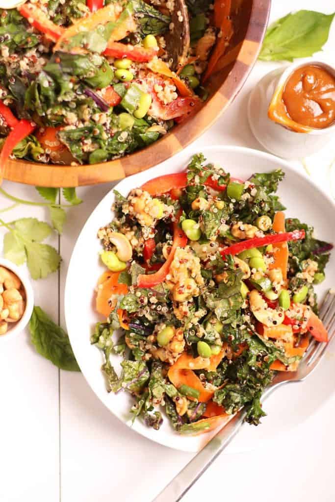 Plant based Thai Salad with creamy peanut sauce on a white background