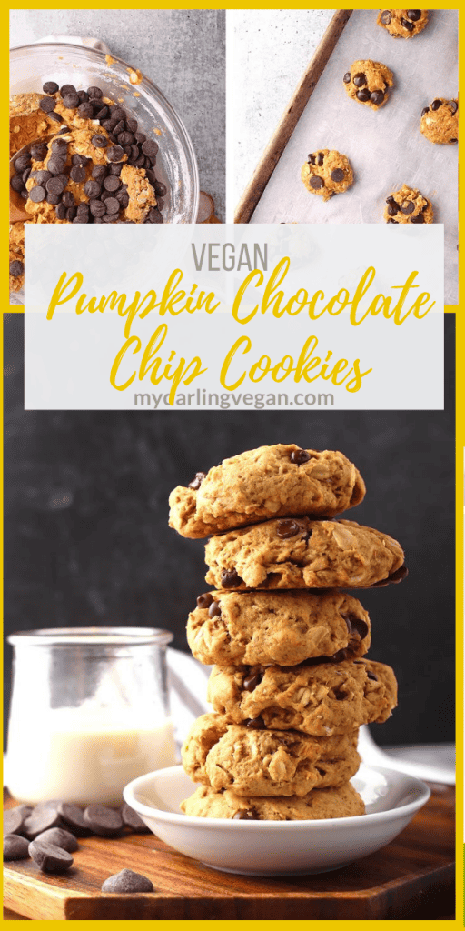 A fall classic: sweet and soft pumpkin chocolate chip cookies with oatmeal flavored with autumn spices and dark chocolate chunks for a sweet treat everyone will enjoy.