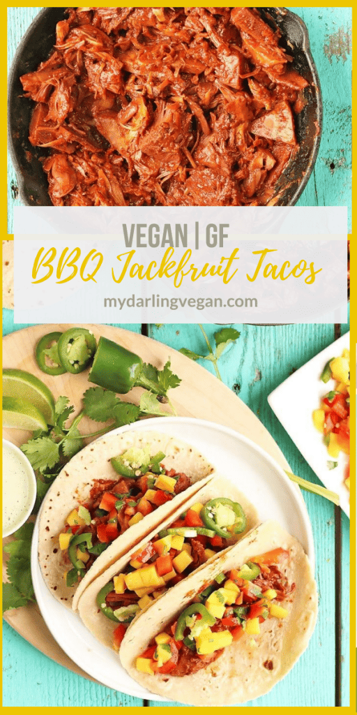 These BBQ Jackfruit Tacos with Mango Salsa are a delicious vegan and gluten-free recipe filled with sweet and tangy flavors that the whole family will love.