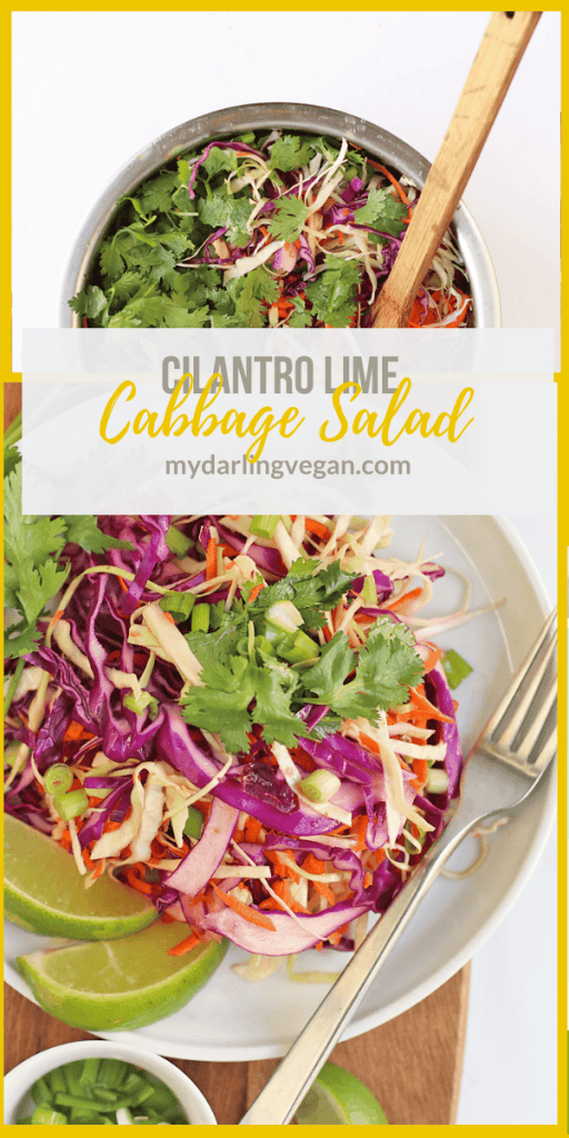 This Cilantro Lime Vegan Cabbage Salad is made with shredded white and purple cabbage and carrots then dressed with a sweet cilantro lime dressing.