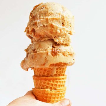 Vegan Snickerdoodle Ice Cream in a cone