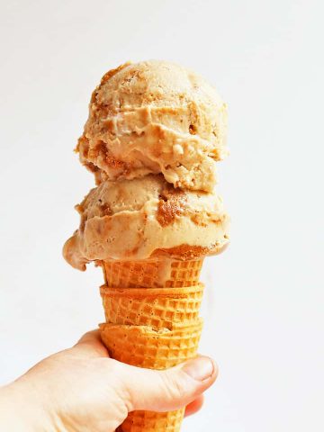 Vegan Snickerdoodle Ice Cream in a cone