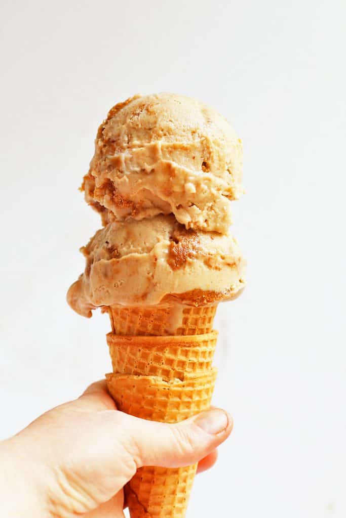 Vegan Snickerdoodle Ice Cream in a cone