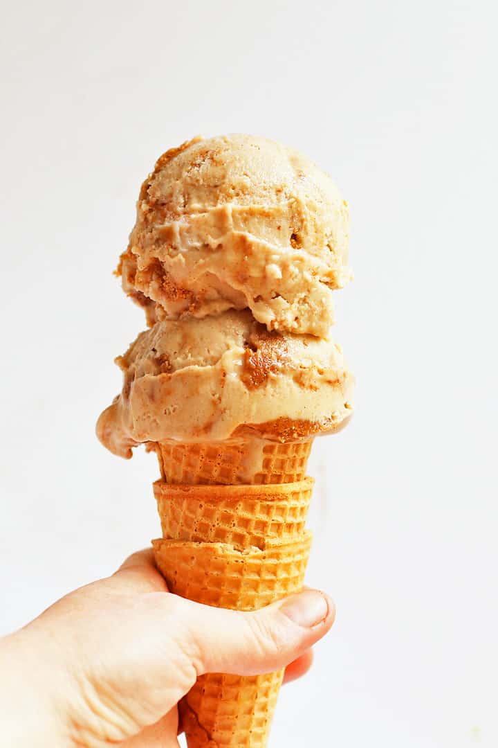 Vegan Snickerdoodle Ice Cream