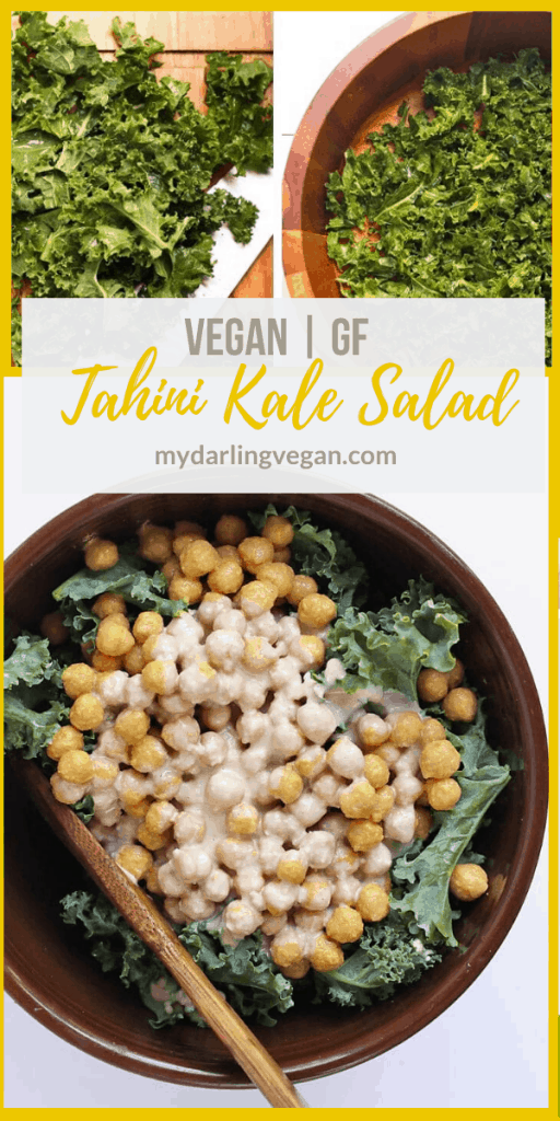 Everyone loves this Kale Salad with Cheesy Chickpeas and Lemon Tahini Dressing. It is light, refreshing, creamy, and nutrient packed. The perfect salad to pair with all your summertime potlucks.