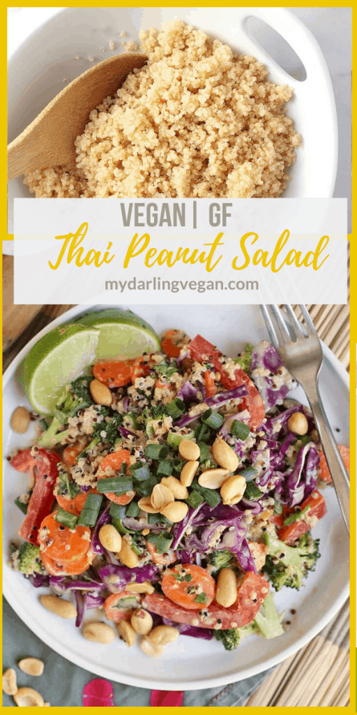 You're going to love this Thai Quinoa Salad! It is made with tri-color quinoa, fresh vegetables, and spicy peanut sauce for a delicious and healthy vegan and gluten-free meal.