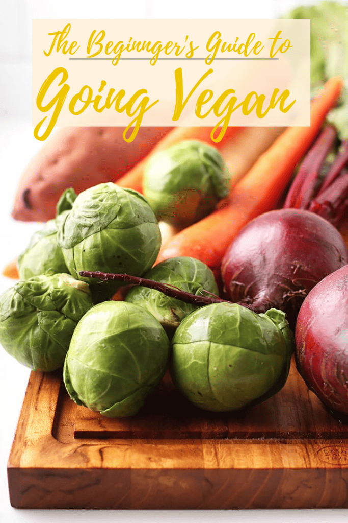 Veganism shouldn't be a mystery. It should be easy, fun, and accessible. And so I've made the Beginners Guide on How to Go Vegan to make the transition to a plant-based diet just that! Let's dig in