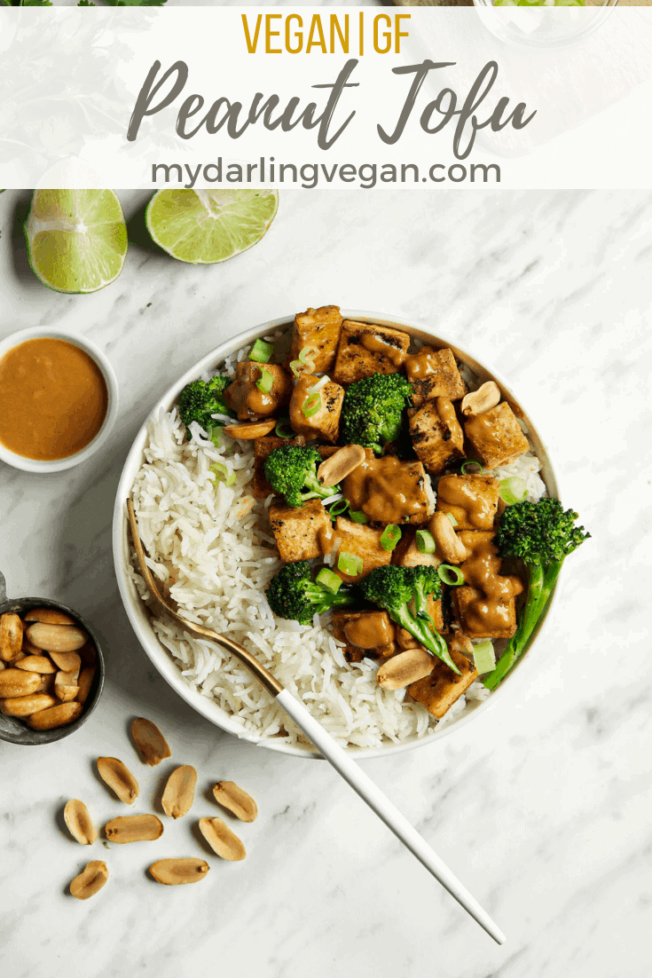 Crispy Tofu with Peanut Sauce - My Darling Vegan