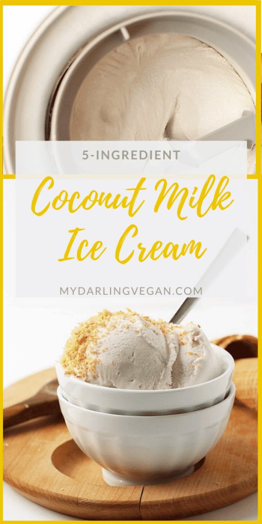 A rich and creamy coconut milk ice cream made with just 5 ingredients for an easy and delicious homemade vegan and gluten-free ice cream treat. 