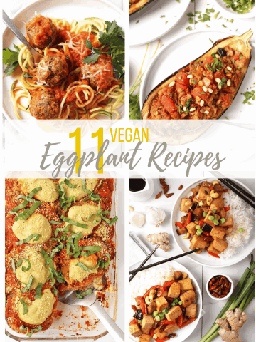 11 AMAZING Vegan Eggplant Recipes for eggplant lovers and skeptics alike. Everything from stuffed eggplant to eggplant curries, there is a recipe for everyone. Most recipes are gluten free or gluten free adaptable. 
