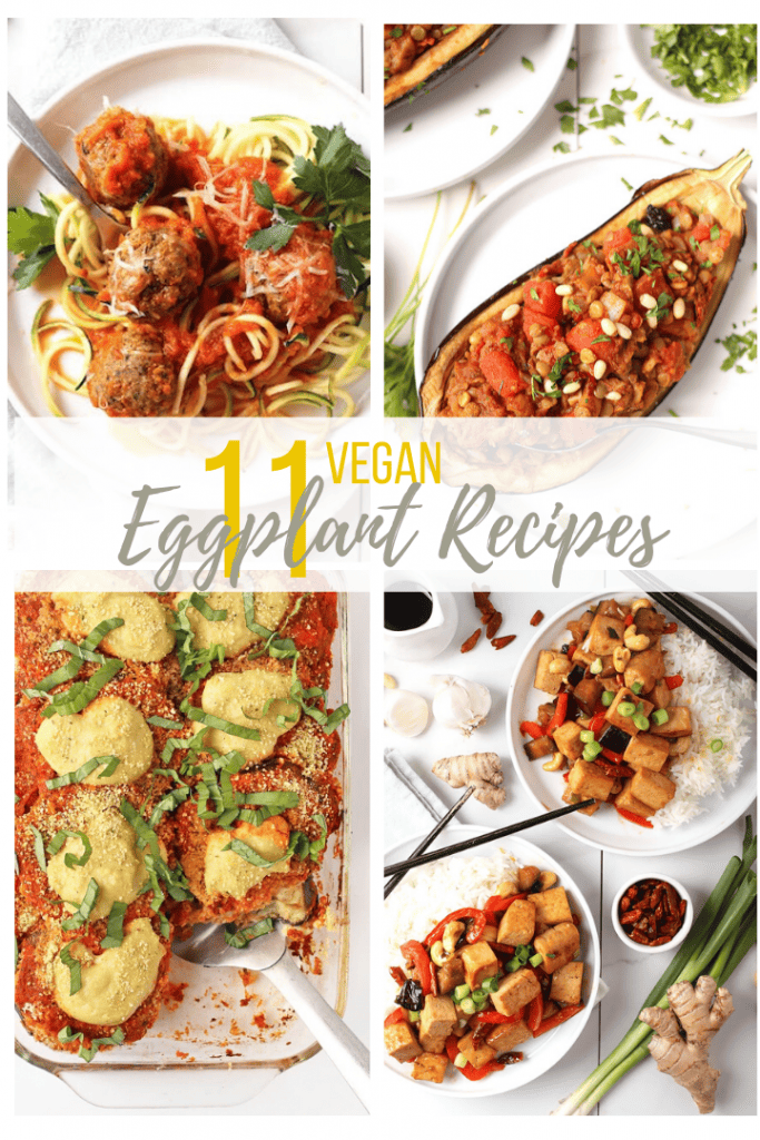 11 AMAZING Vegan Eggplant Recipes for eggplant lovers and skeptics alike. Everything from stuffed eggplant to eggplant curries, there is a recipe for everyone. Most recipes are gluten free or gluten free adaptable. 