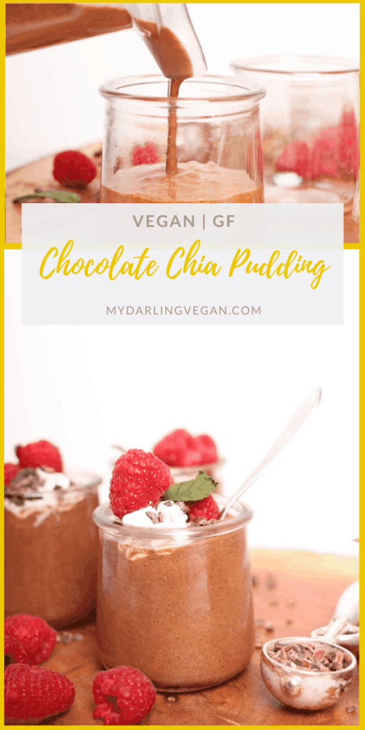 Delicious light and decadent chocolate chia pudding! It takes just 5 minutes to throw together for a wholesome vegan dessert. Gluten free!