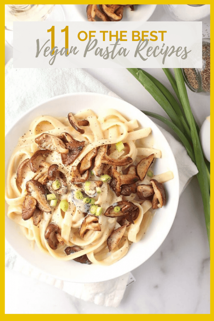 11 of the best vegan pasta recipes all in one place! From Creamy Alfredo Pasta to Pasta Caprese, there is a recipe for everyone. All recipes made in 30 minutes for quick and delicious weeknight meals.  