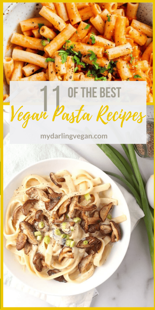 11 of the best vegan pasta recipes all in one place! From Creamy Alfredo Pasta to Pasta Caprese, there is a recipe for everyone. All recipes made in 30 minutes for quick and delicious weeknight meals.  