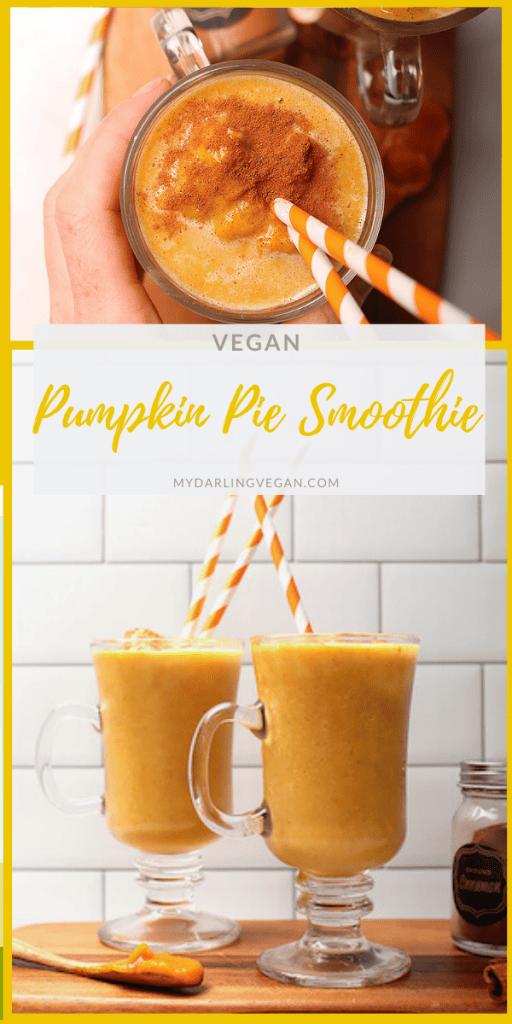 Smooth and creamy this Vegan Pumpkin Pie Smoothie is filled with protein and delicious autumnal flavor for a quick and satisfying breakfast or any time of the day snack. Ready in 5 minutes!