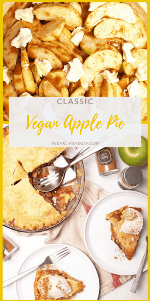 This classic vegan apple pie is the perfect sweet and tart filling baked inside a buttery crust. The filling can be made in advance for a quick and easy fall dessert the whole family will love.