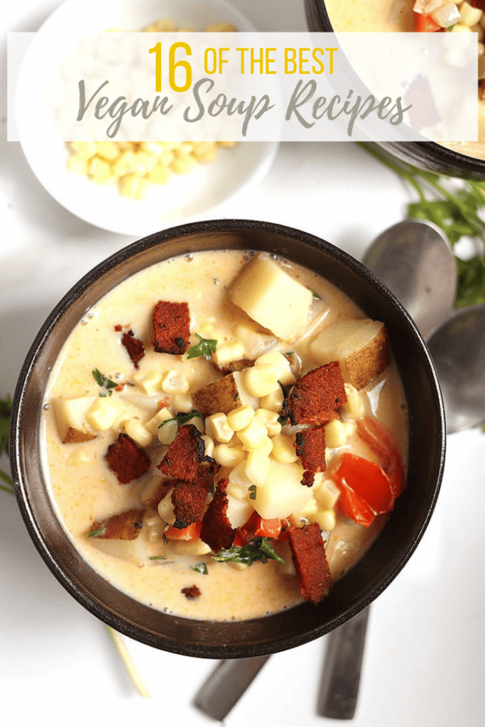 There is nothing quite like a warm and comforting bowl of vegan soup. You are going to LOVE these 16 vegan soup recipes. Taken from around the internet, this is the most delicious and cozy soup recipe roundup ever! Let's get cooking.