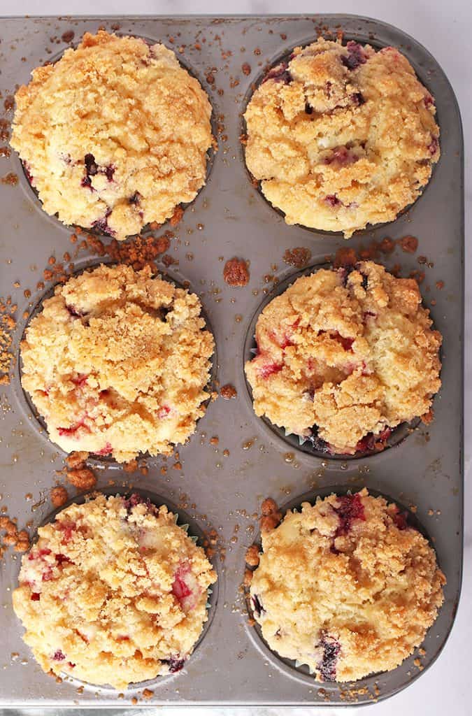 Baked muffins in muffin tin