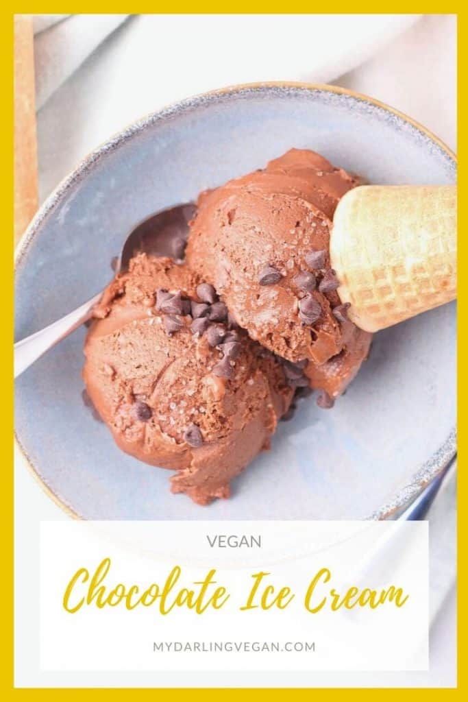 Vegan Chocolate Ice Cream in a bowl