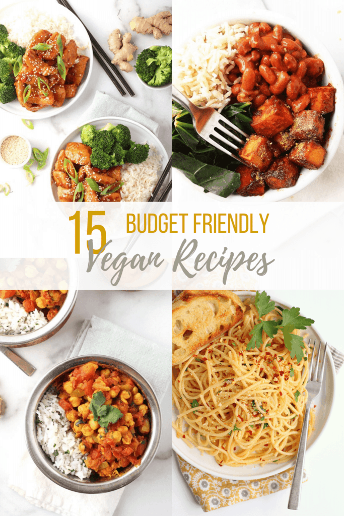 Struggling to find cheap vegan meals? I've got you covered! These 15 budget vegan recipes will have you eating well without breaking the bank. Plus tips on saving money, where to get your groceries, and more! 