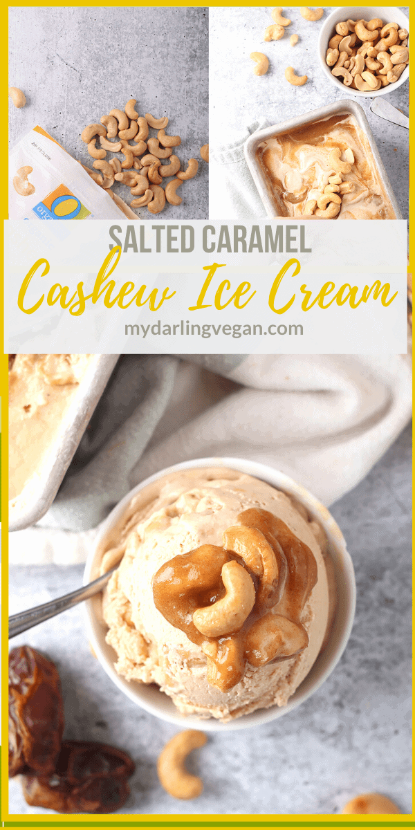 Salted Cashew Ice Cream w/ Caramel Ripple My Darling Vegan