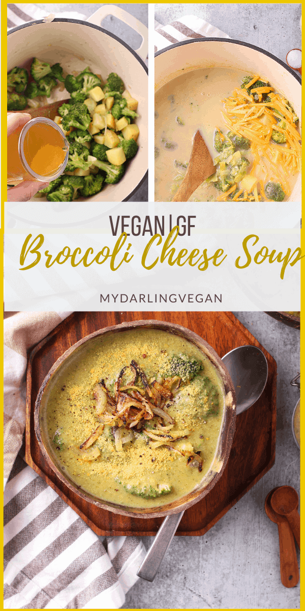 Vegan Broccoli Cheese Soup - My Darling Vegan