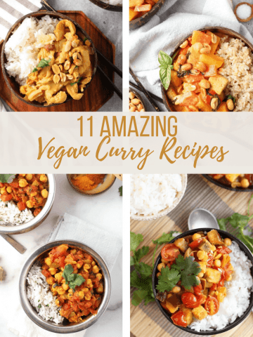 4 different vegan curry recipes