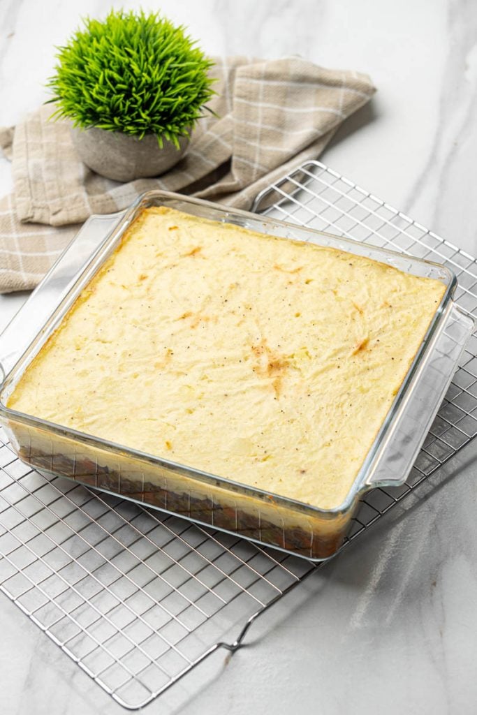 Top view of baked dairy-free shepherds pie with golden potato crust fresh out of the oven