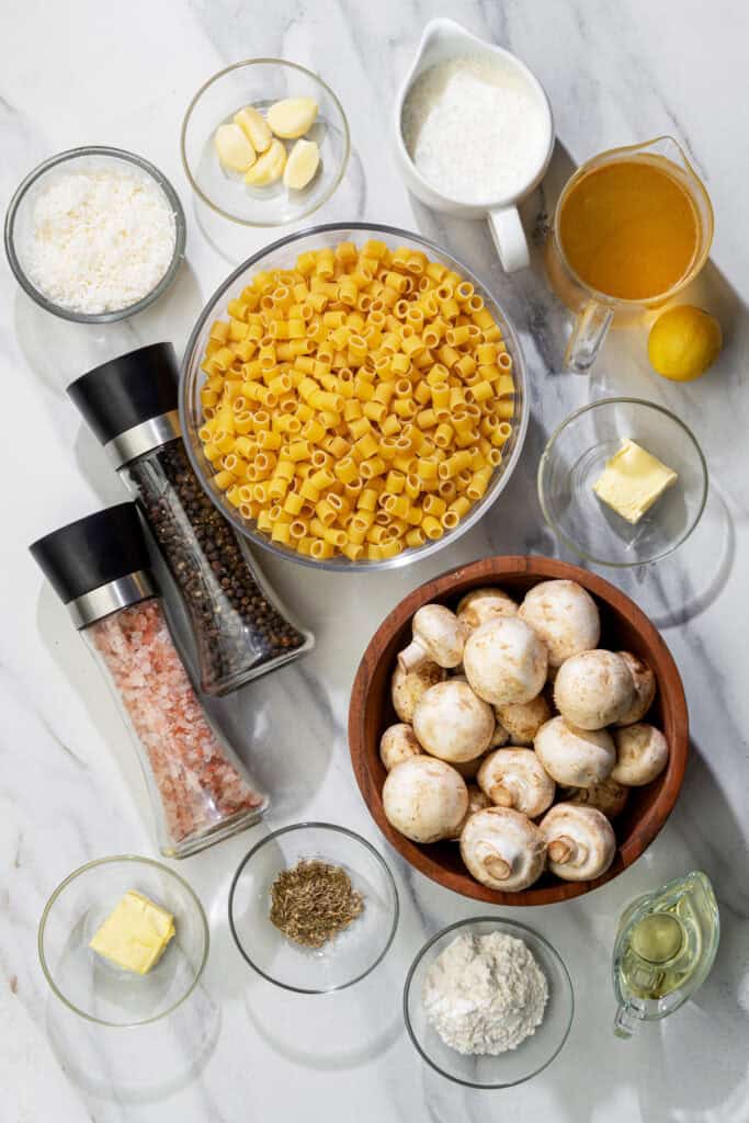 all the ingredients for creamy garlic mushroom pasta including ditalini, parmesan, broth and seasonings