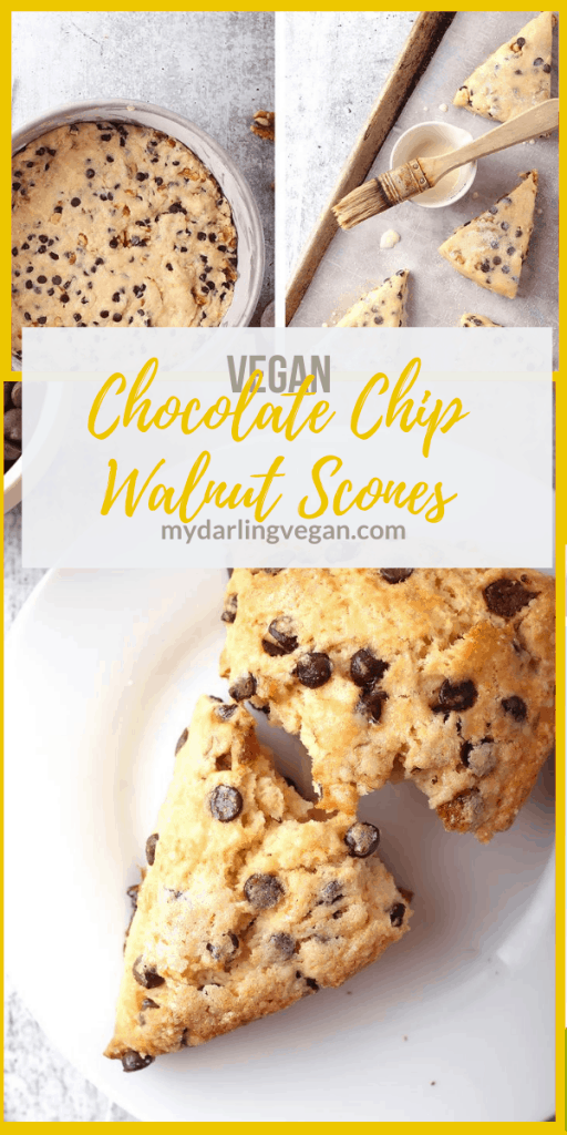 Vegan chocolate chip scones are vegan-friendly take on scones that are easy to make and delicious. They are the perfect morning breakfast or mid afternoon snack. Flaky, buttery, and delicious!