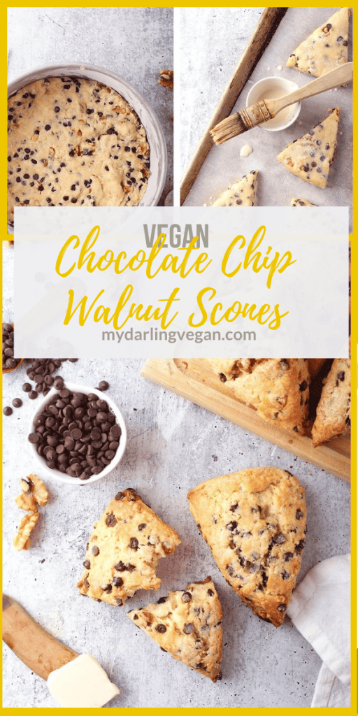 Vegan chocolate chip scones are vegan-friendly take on scones that are easy to make and delicious. They are the perfect morning breakfast or mid afternoon snack. Flaky, buttery, and delicious!