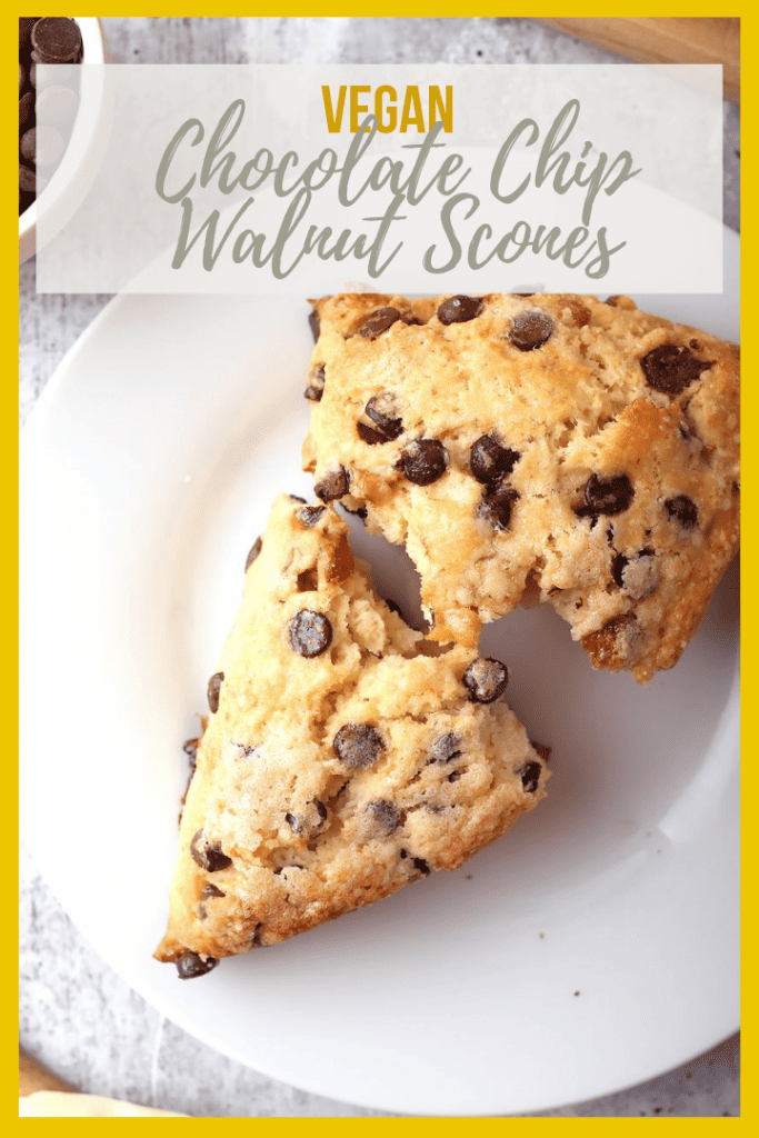 Vegan chocolate chip scones are vegan-friendly take on scones that are easy to make and delicious. They are the perfect morning breakfast or mid afternoon snack. Flaky, buttery, and delicious!