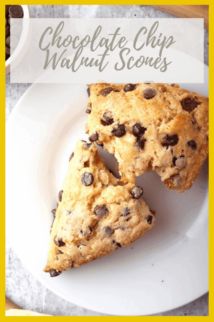 Vegan chocolate chip scones are vegan-friendly take on scones that are easy to make and delicious. They are the perfect morning breakfast or mid afternoon snack. Flaky, buttery, and delicious!