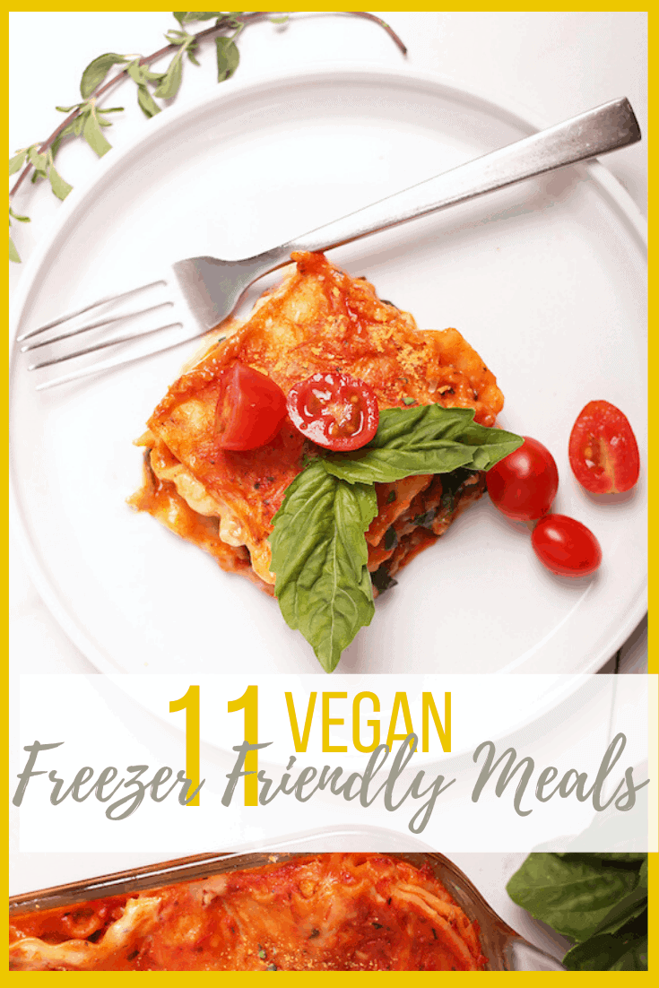 11 Vegan Freezer Meals + Tips - My Darling Vegan