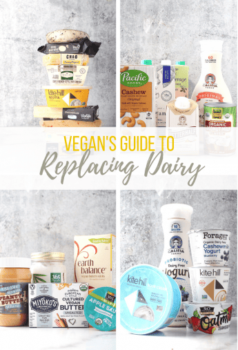 Vegan Dairy Alternatives